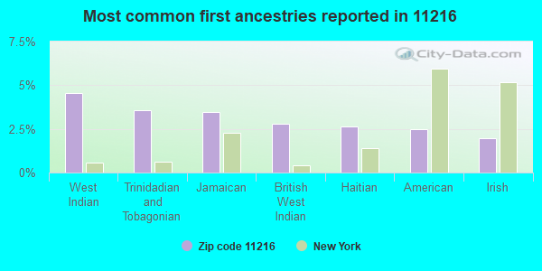 Most common first ancestries reported in 11216