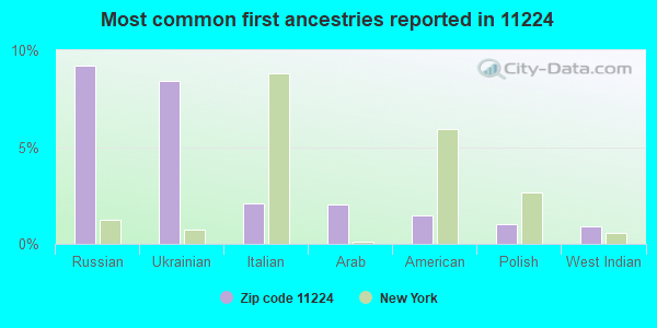Most common first ancestries reported in 11224