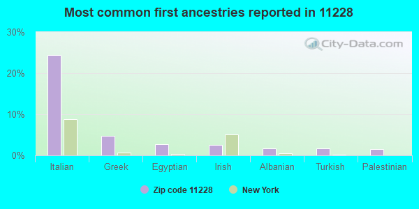 Most common first ancestries reported in 11228