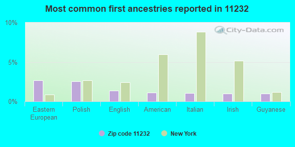 Most common first ancestries reported in 11232