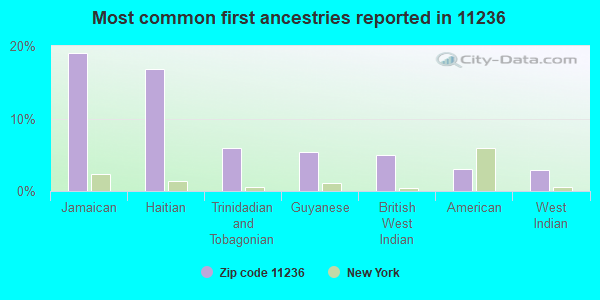 Most common first ancestries reported in 11236