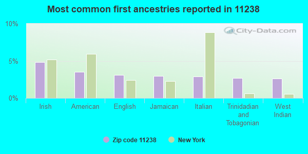 Most common first ancestries reported in 11238