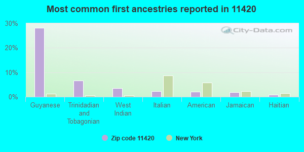 Most common first ancestries reported in 11420