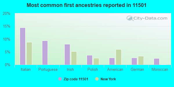 Most common first ancestries reported in 11501