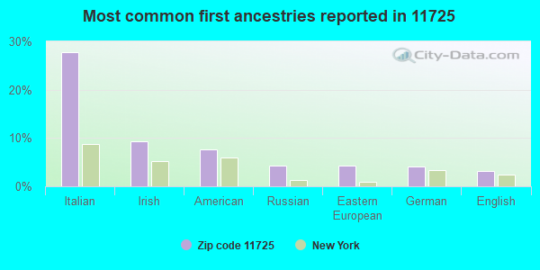 Most common first ancestries reported in 11725