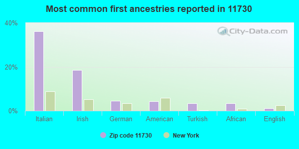 Most common first ancestries reported in 11730