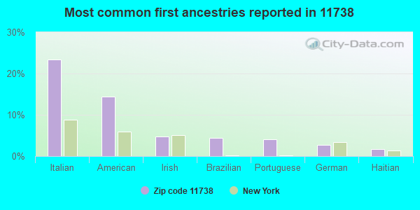 Most common first ancestries reported in 11738
