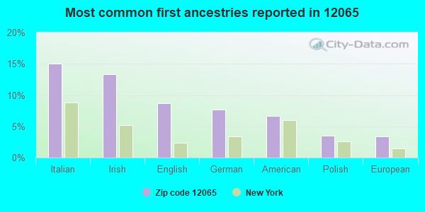 Most common first ancestries reported in 12065