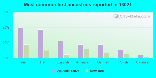 Most common first ancestries reported in 13021
