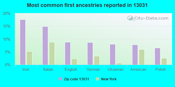 Most common first ancestries reported in 13031