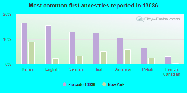 Most common first ancestries reported in 13036
