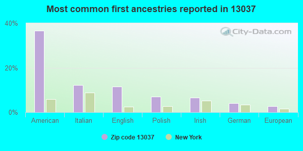 Most common first ancestries reported in 13037