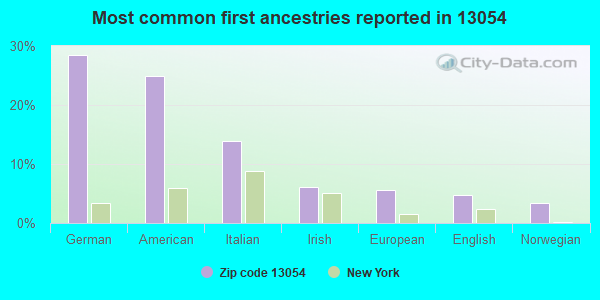Most common first ancestries reported in 13054