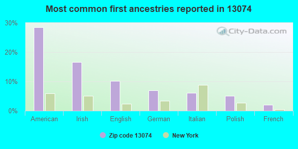 Most common first ancestries reported in 13074