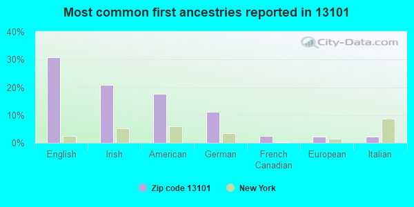Most common first ancestries reported in 13101