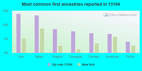 Most common first ancestries reported in 13104