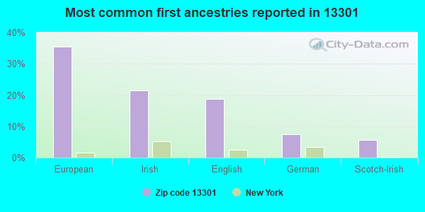 Most common first ancestries reported in 13301