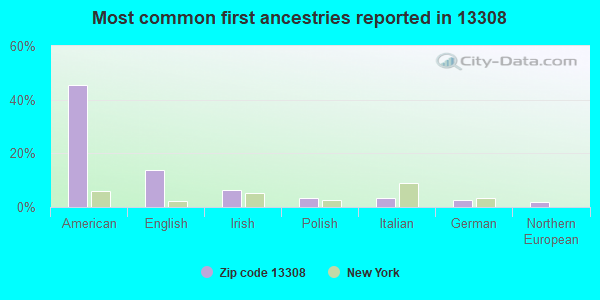 Most common first ancestries reported in 13308