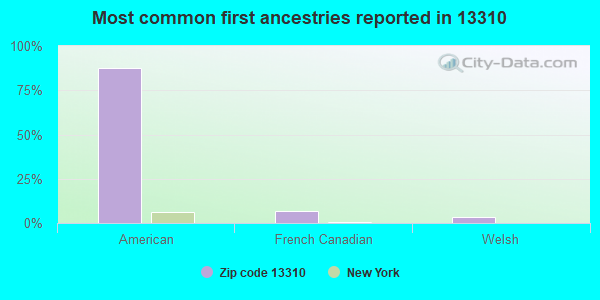 Most common first ancestries reported in 13310
