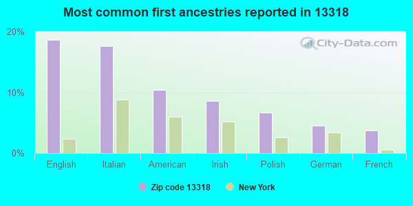 Most common first ancestries reported in 13318
