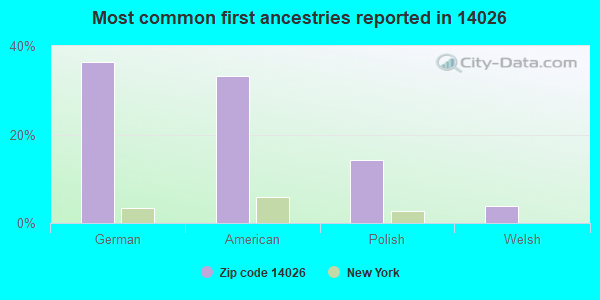 Most common first ancestries reported in 14026