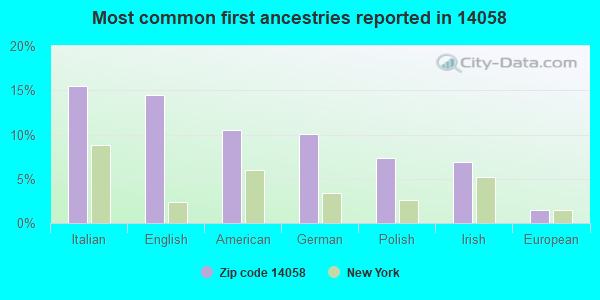Most common first ancestries reported in 14058