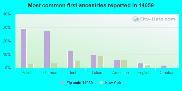 Most common first ancestries reported in 14059
