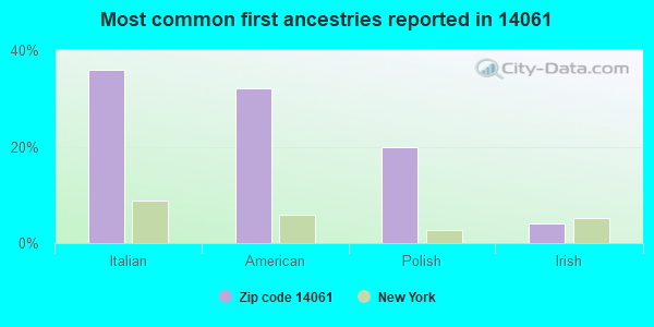 Most common first ancestries reported in 14061