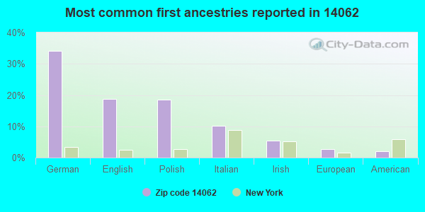 Most common first ancestries reported in 14062