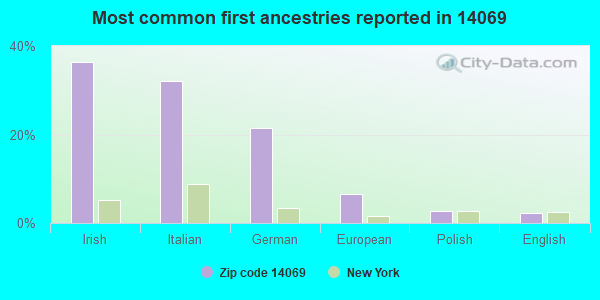 Most common first ancestries reported in 14069