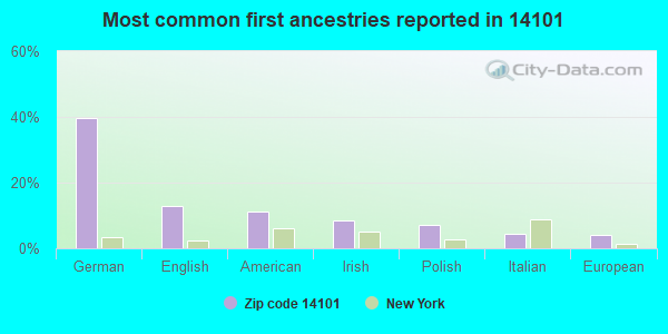 Most common first ancestries reported in 14101