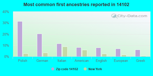 Most common first ancestries reported in 14102