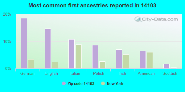 Most common first ancestries reported in 14103