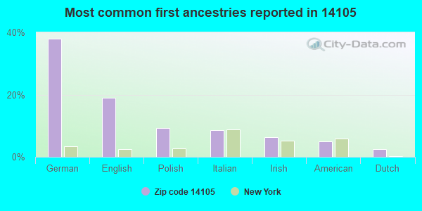 Most common first ancestries reported in 14105