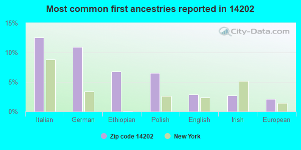 Most common first ancestries reported in 14202