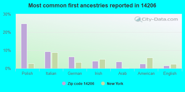 Most common first ancestries reported in 14206