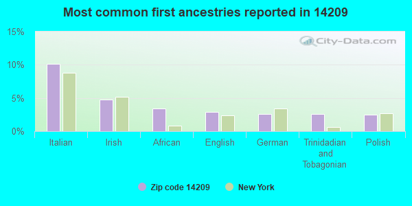 Most common first ancestries reported in 14209