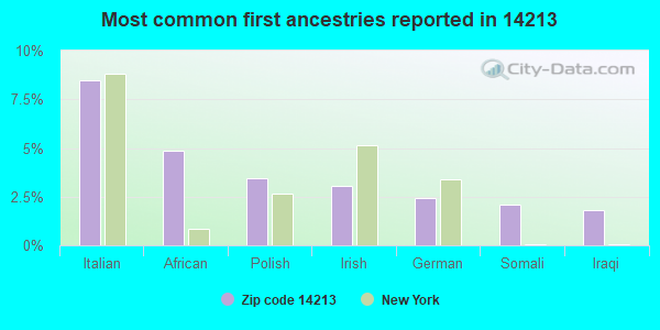 Most common first ancestries reported in 14213