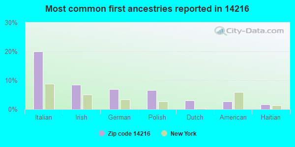 Most common first ancestries reported in 14216