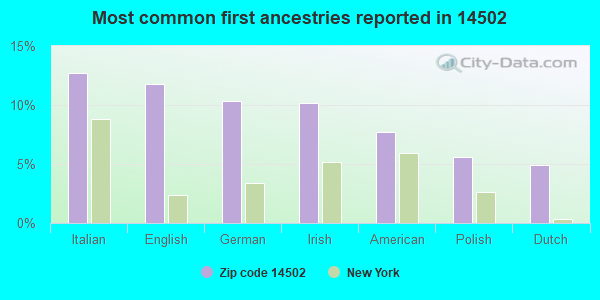 Most common first ancestries reported in 14502