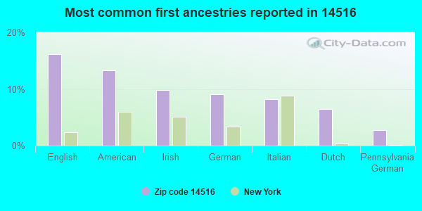 Most common first ancestries reported in 14516