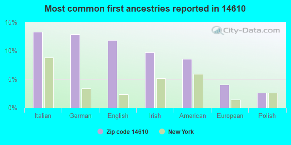 Most common first ancestries reported in 14610