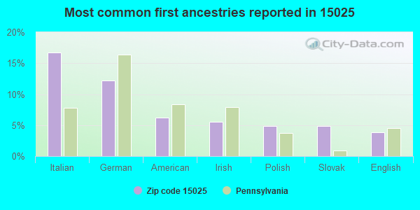Most common first ancestries reported in 15025