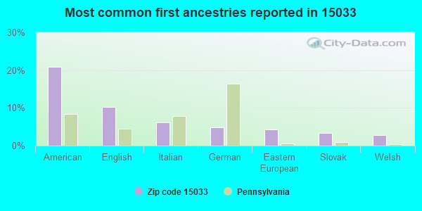 Most common first ancestries reported in 15033