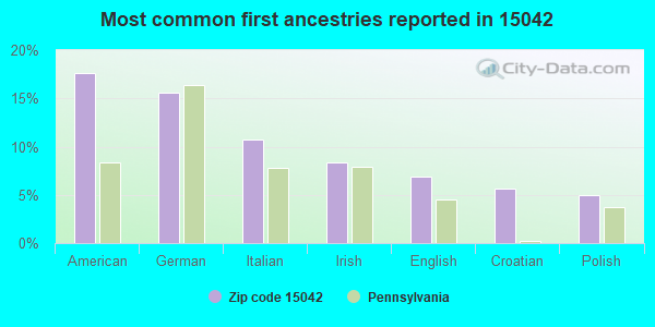 Most common first ancestries reported in 15042