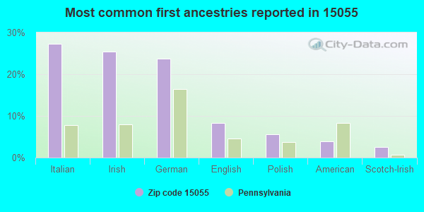 Most common first ancestries reported in 15055