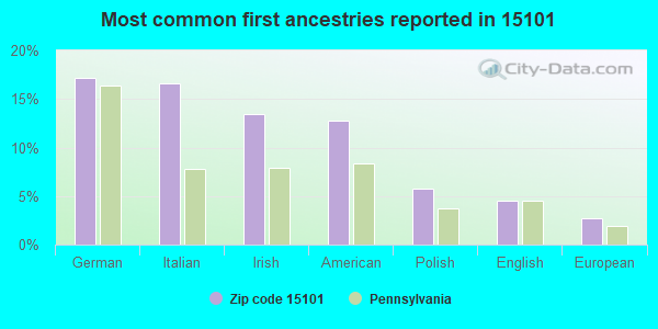 Most common first ancestries reported in 15101
