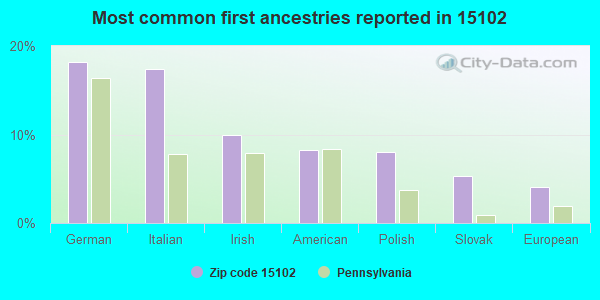 Most common first ancestries reported in 15102