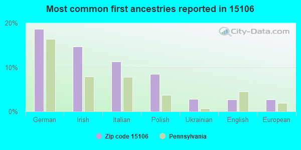 Most common first ancestries reported in 15106