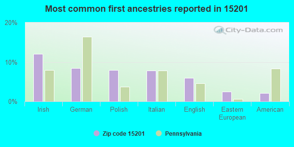 Most common first ancestries reported in 15201